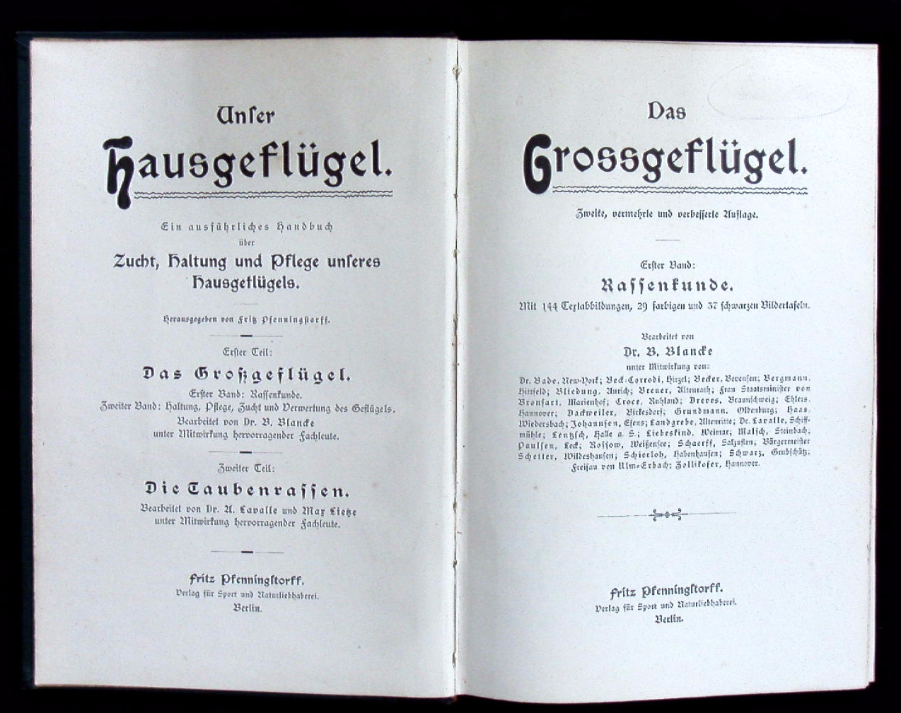 66382AB.jpg