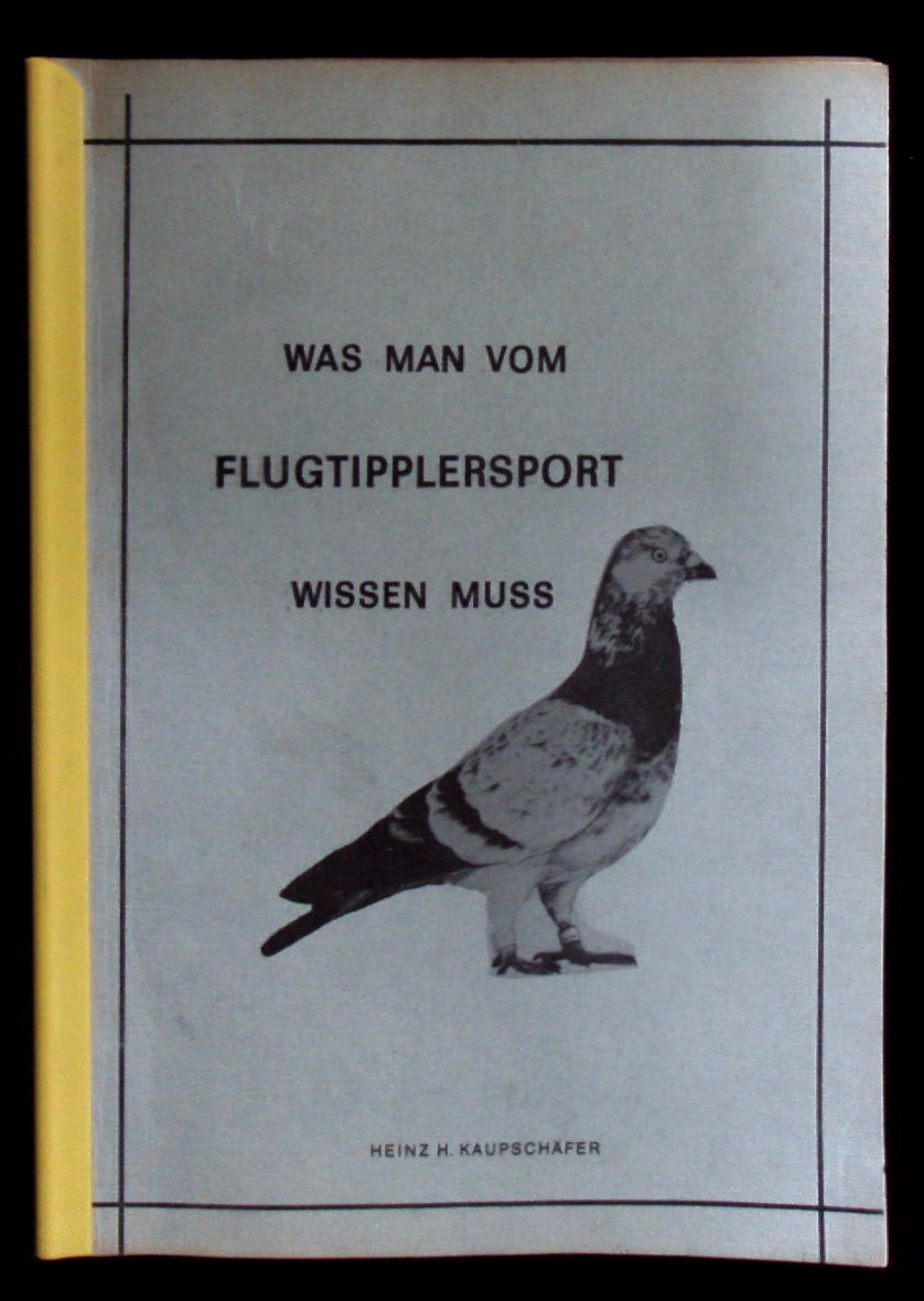 66383AB.jpg