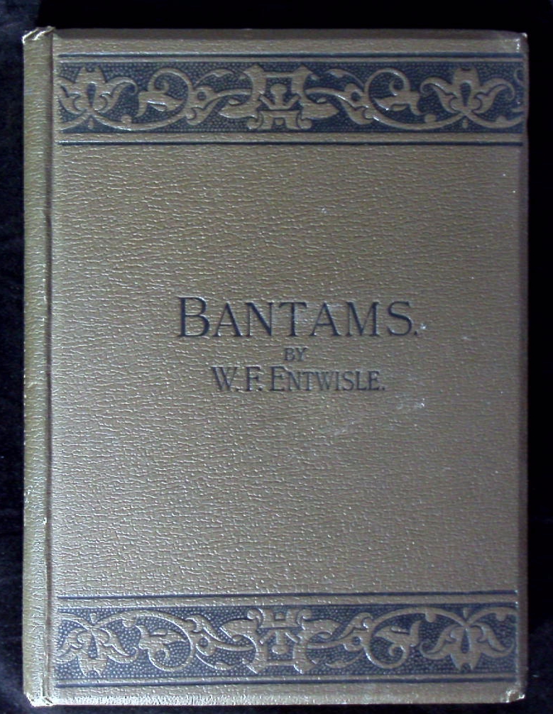 66395AB.jpg