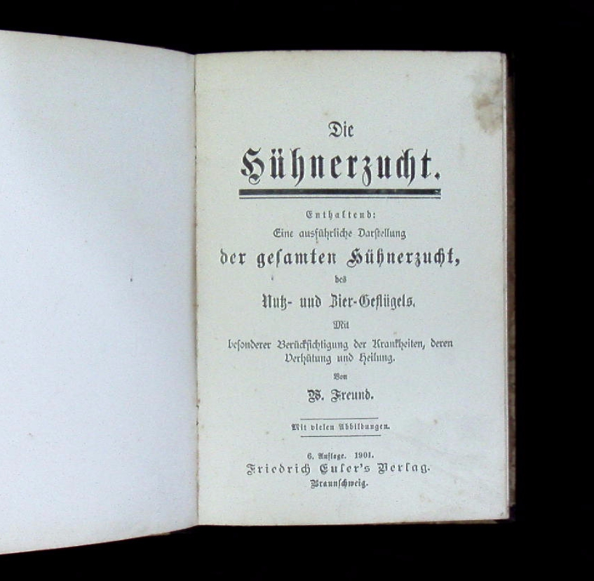 66417AB.jpg