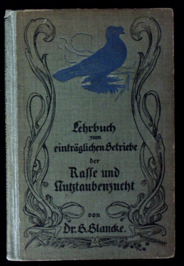 66428AB.jpg