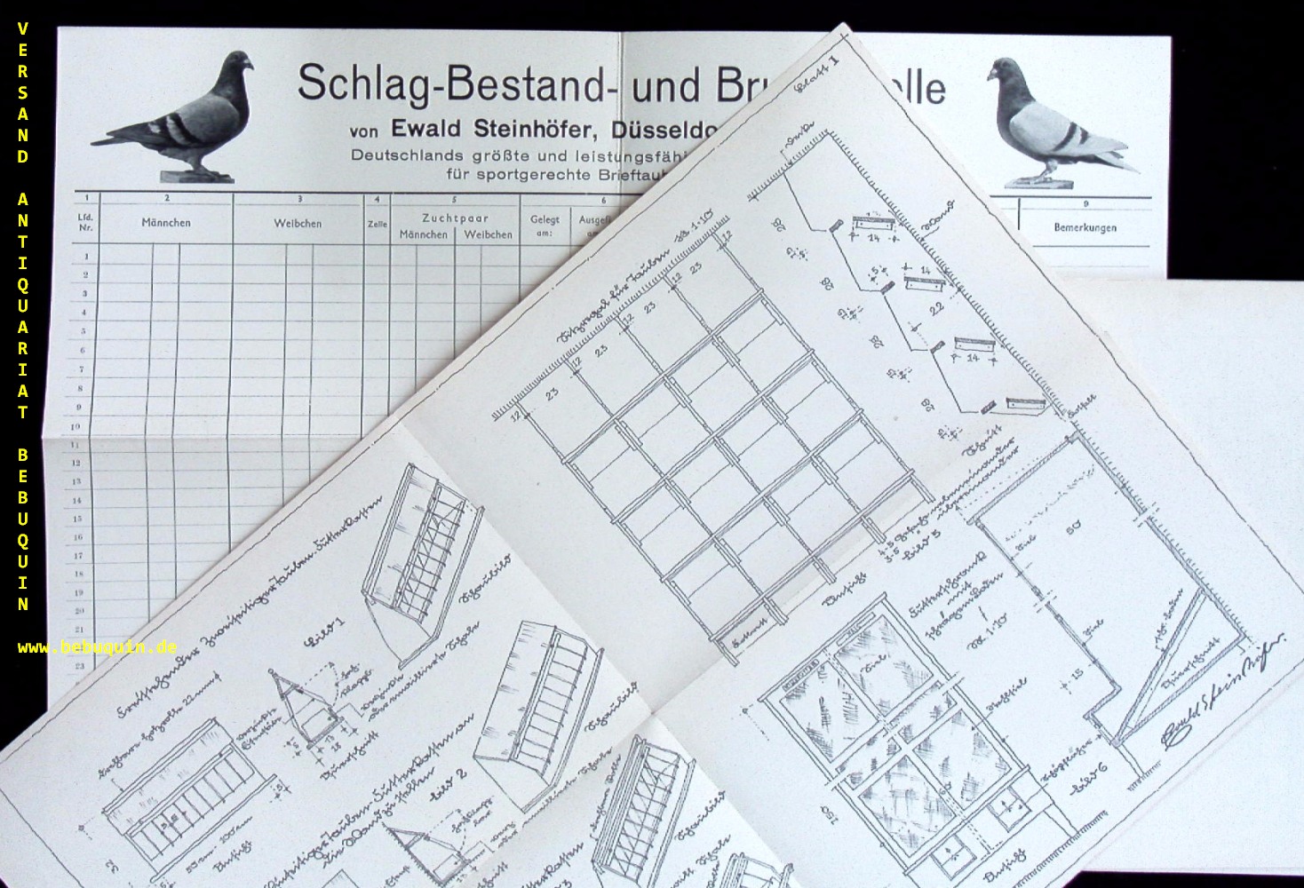 66452AB.jpg