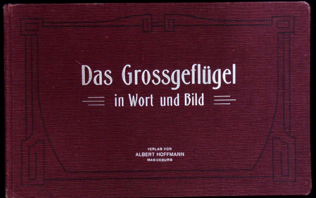 66453AB.jpg