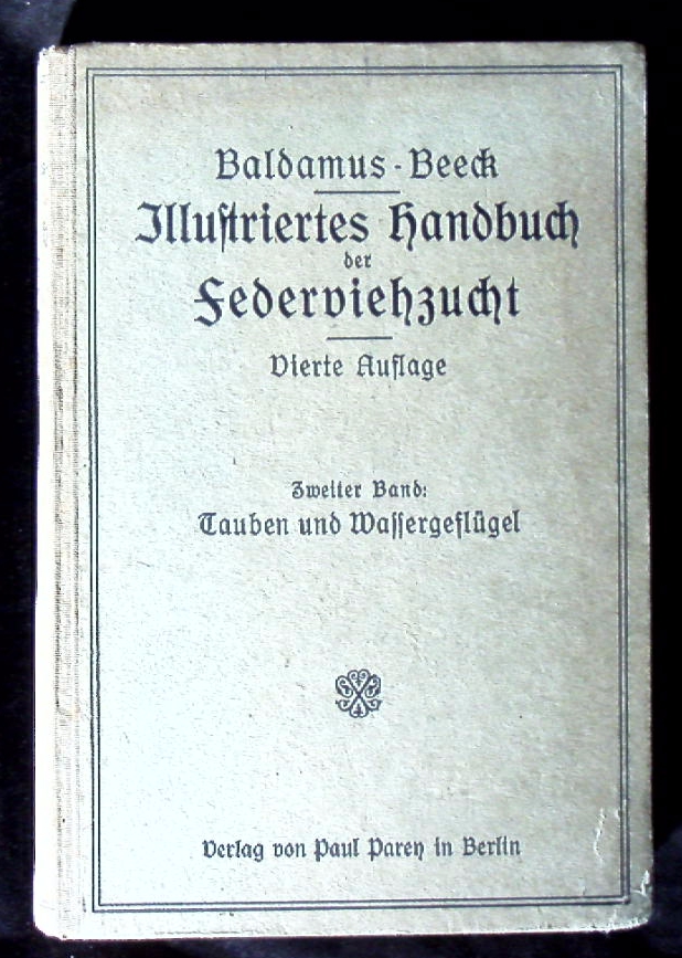 66599AB.jpg
