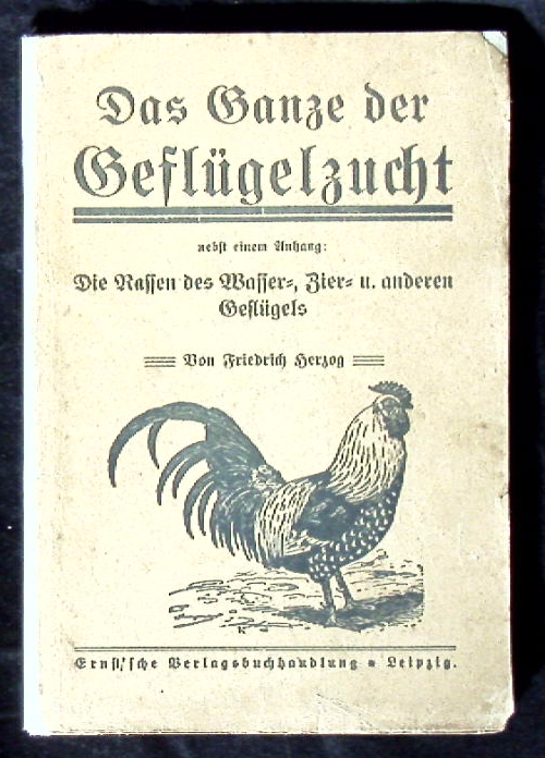 66608AB.jpg