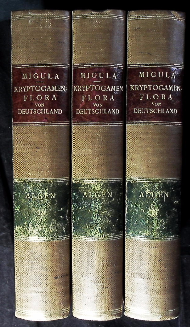 66789AB.jpg