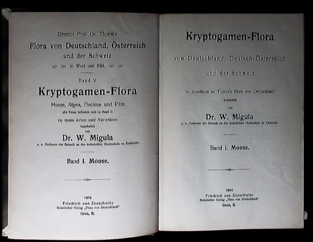 66794AB.jpg