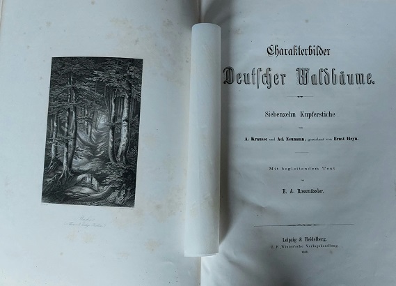 66899AB_1.jpg
