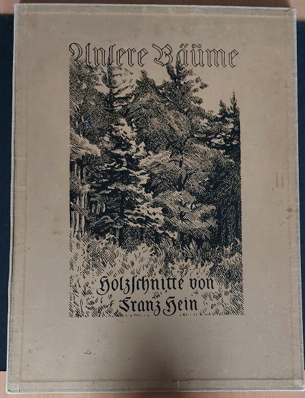 66905AB.jpg