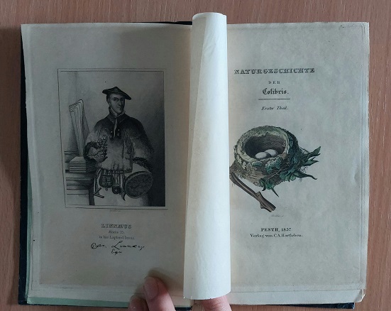 66960AB.jpg