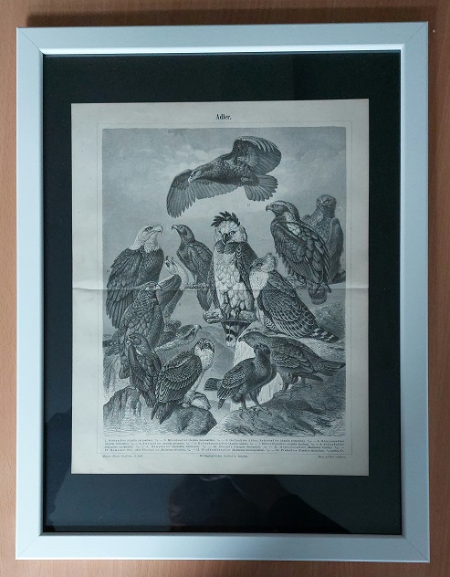 67011AB.jpg