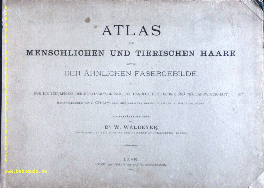 70042AB.jpg