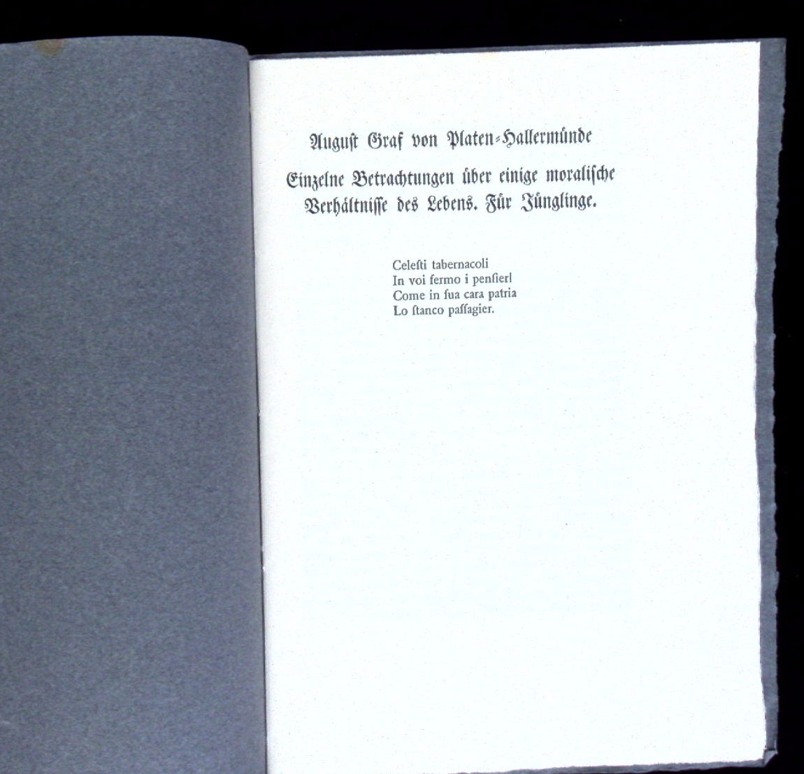 70325AB.jpg