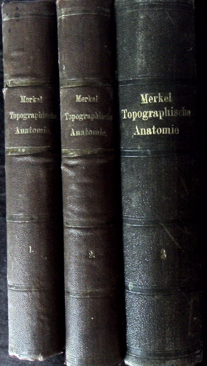 70384AB.jpg