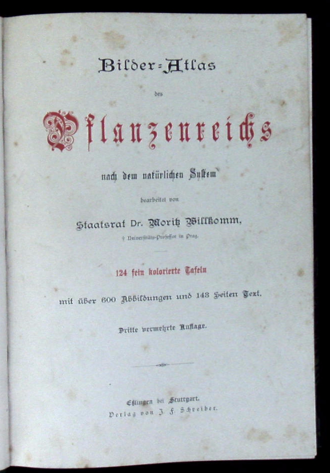 70432AB.jpg
