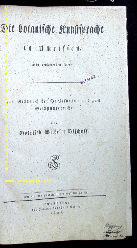 70445AB.jpg