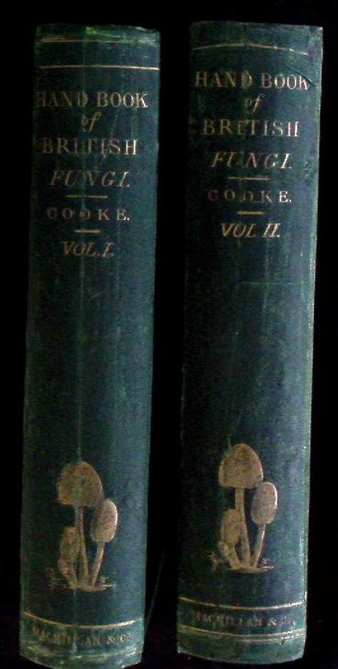 70471AB.jpg