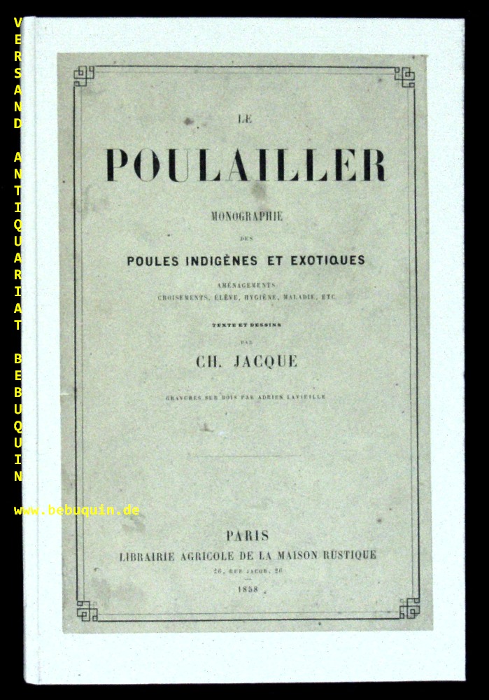 70553AB.jpg