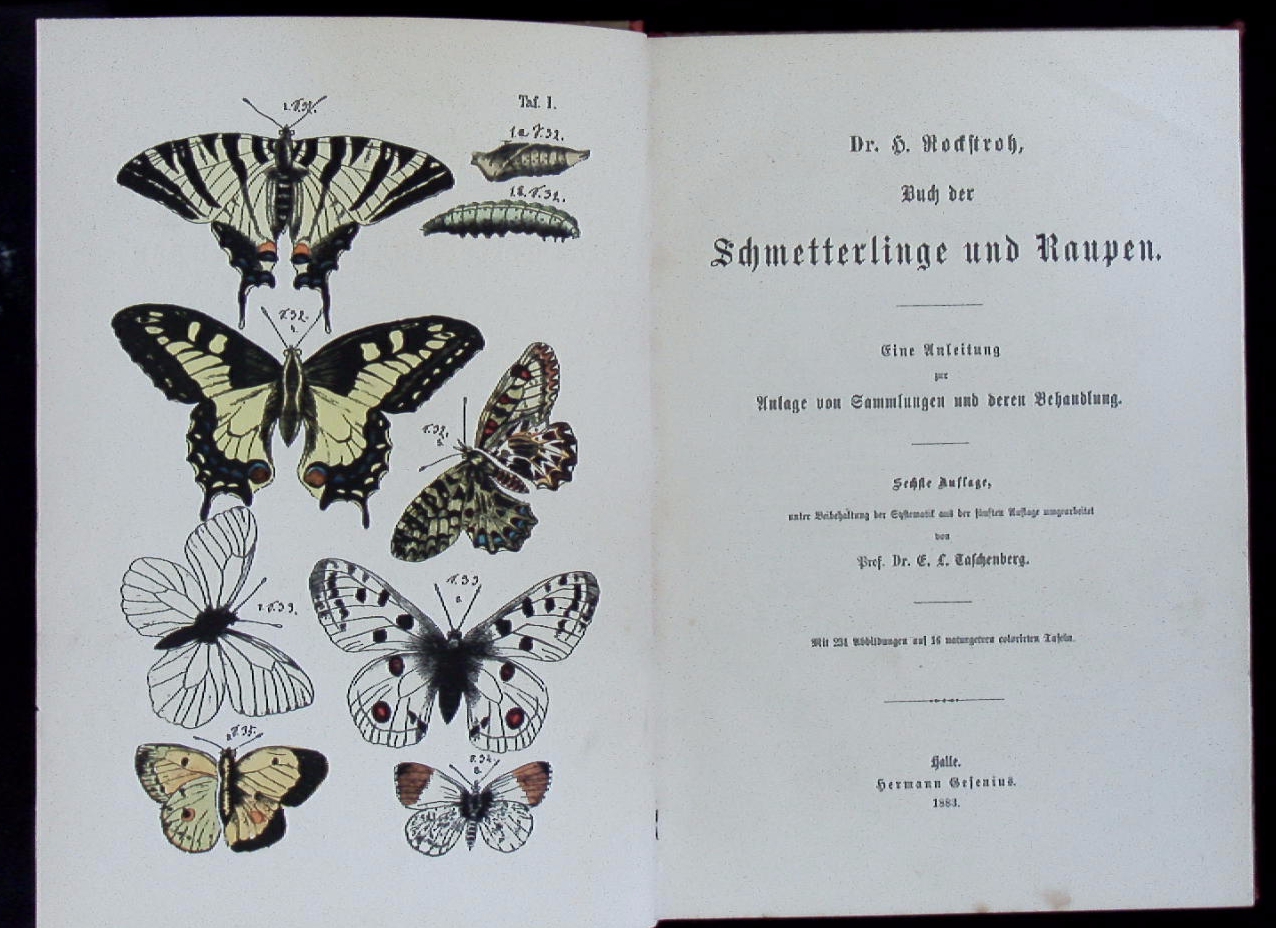 70698AB.jpg