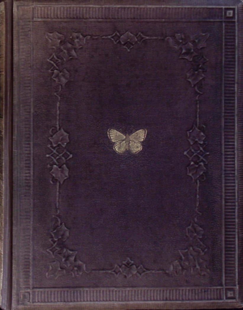 70730AB.jpg