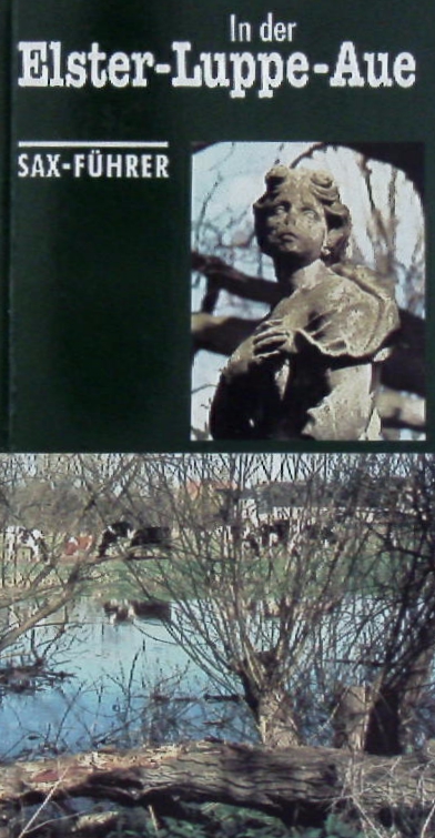 70961AB.jpg