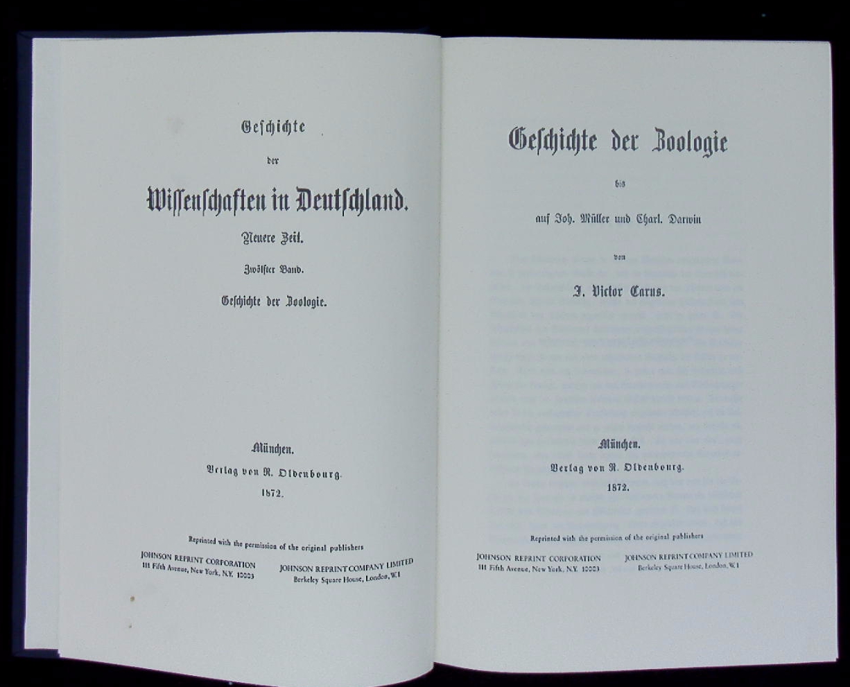 71290AB.jpg