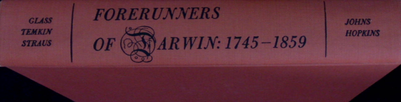 71385AB.jpg