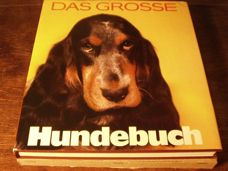 hubnde