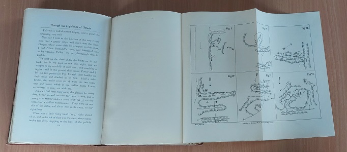 85302AB.jpg